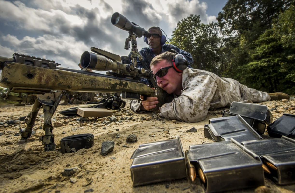 Subsonic 308 vs 300 Blackout